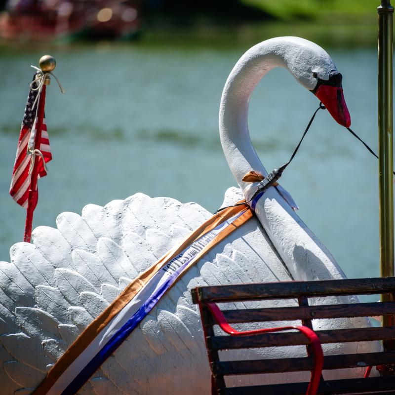 Women's Equality Day