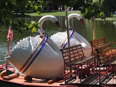 Swan Boats.